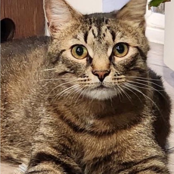 Meet your Posher, MaryAnn - Picture 2 of 2